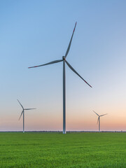 portrait view to three wind generators in green wheat field in sunset light with copy space