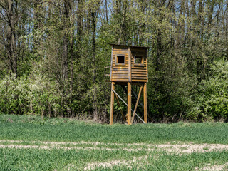 Wooden Hunting Blind in a Forest Clearing with Surrounding Greenery and Trees