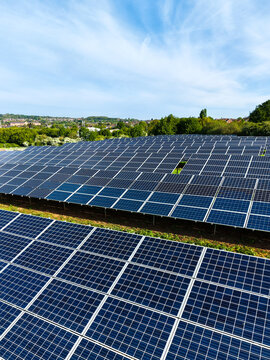 Rows of solar panels on farmland generating renewable and clean energy for business