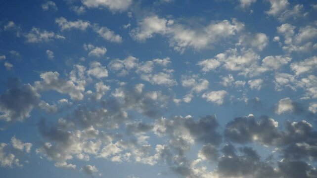 Real time video with altocumulus high cumulus heaped cloud stratocumuliform. Globular masses or rolls in patches. Cumuliform stratocumuliform clouds altocumulus signifies convection. Blue evening sky