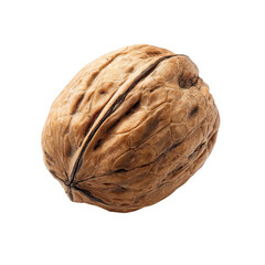 Obraz premium Single walnut shell closeup studio photography brown nut dry food seed on transparent background