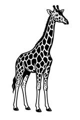 Fototapeta premium Detailed Giraffe Animal Illustration with Spots - Black and White for Nature, Wildlife, or Graphic Themes