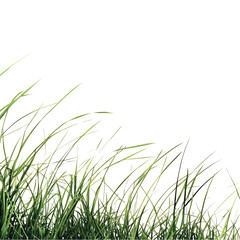 Naklejka premium Green grass blades isolated on detailed texture lush vegetation lawn dark on transparent background