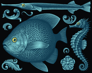 Aquarium fish. Design set. Editable hand drawn illustration. Vector vintage engraving. Isolated on black background. 8 EPS