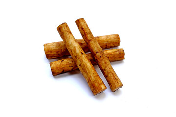 Fresh burdock roots or gobo roots
