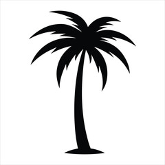 Silhouette of a Single Tall Palm Tree with Long Curved Fronds