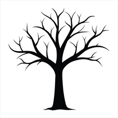 Silhouette of Leafless Tree on White Background