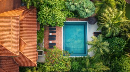 Luxury modern backyard with swimming pool and lounge area surrounded by greenery
