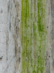 Obraz premium Feuchte Betonwand