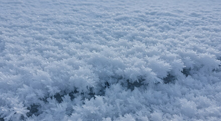 Obraz premium Frozen Beauty: Macro View of Winter Frost and Snowflakes