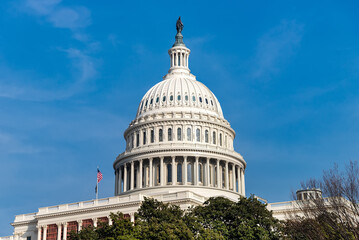 Obraz premium dome and columns of the Capitol under a blue sky in Washington, D.C., USA.
