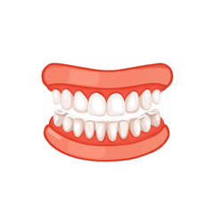 Obraz premium Cartoon Illustration of a Healthy Set of Human Teeth and Gums