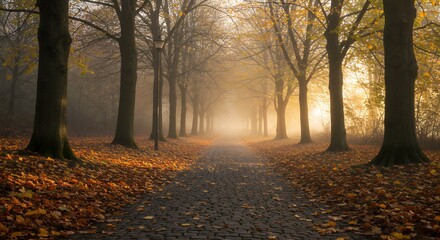 Fototapeta premium Walking Path through Trees with Autumn Leaves and Misty Morning