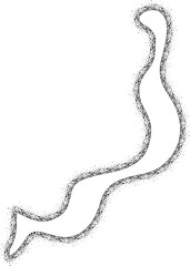 Wavy flowing element with curved, organic contours and a dirt-textured, stone-like edge.