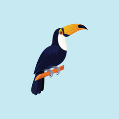 Vector illustration of colorful cartoon sketch Tucan bird icon 