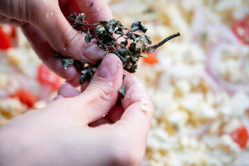 Close-up scene of female hands. Adding dried basil to dough on kitchen countertop. Making homemade pizza with three types of cheese – female hands in action.