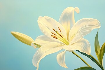 Exquisite, delicate white lily blossom, softly lit against a pastel background.