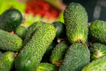 Vibrant green cucumbers stacked together, showcasing their bumpy texture at a colorful market stall in the soft morning light