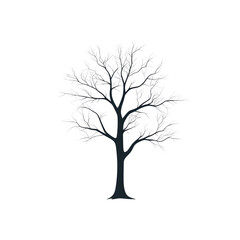 Fototapeta premium Silhouetted Winter Tree with Delicate Branches Against a Transparent Background