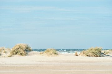bright sunny dunes at white sand beach. High quality photo