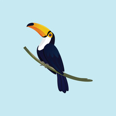 Vector illustration of colorful cartoon sketch Tucan bird icon 