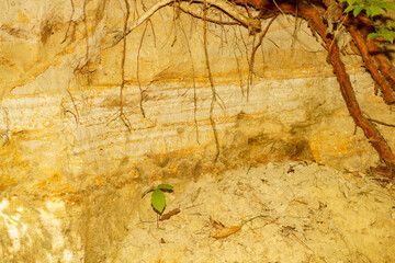 地層の現れた土壁