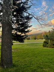 railing and pavement in recreation areas and near architectural buildings