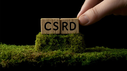 Bold letters on wooden cubes and a hand holding them over mossy ground with copy space for your message or text CSRD concept Human sustainable development forest ecology and green e