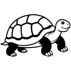 turtle vector illustration