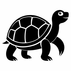 vector illustration of turtle