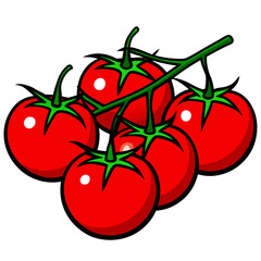 tomatoes on a branch