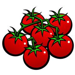 tomatoes on a branch