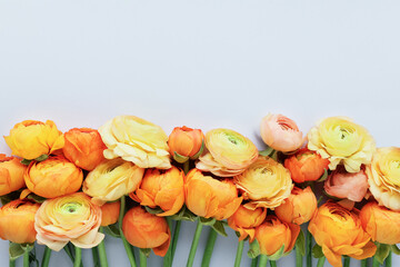 Bunch of orange ranunculus flowers. Mothers Day, Valentines Day, birthday concept. Copy space