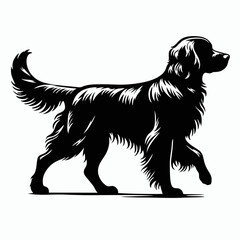 A vector dog.