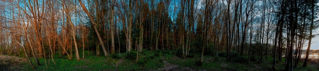 Panoramic nature landscape, soft pastel colors, dream nature, sunset autumn background, peaceful amazing nature panorama