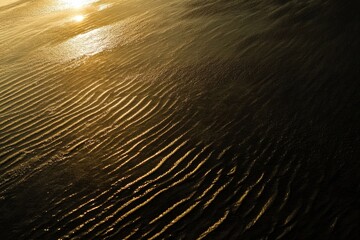 Obraz premium Surreal giraffes carrying surfboards on an abstract beach at sunset