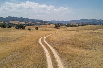 Obraz premium Winding Dirt Road Through Sunny Meadow with Mountains on the Horizon