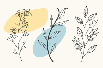 Set of different flowers and brunch from flat editable stroke. Luxury line floral collection for wedding invitation art, design template of save the date card. Botanical vector illustration.