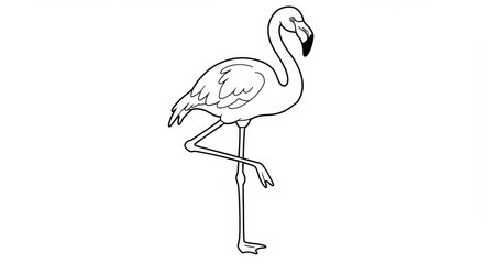 Naklejka premium Flamingo Coloring Page