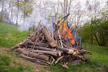 Pile of dry logs and branches igniting in a vibrant fire, surrounded by lush green grass and trees, creating a warm and inviting atmosphere in a natural outdoor setting