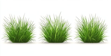 A modern and realistic set featuring isolated tufts and borders of fresh green grass blades on a white background, suitable for lawns, spring or summer fields, gardens, or meadows, including weed