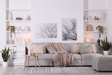 Comfortable sofa, houseplants and decorative elements in living room. Interior design