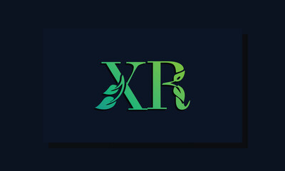 Fototapeta premium Minimal leaf style Initial XR logo
