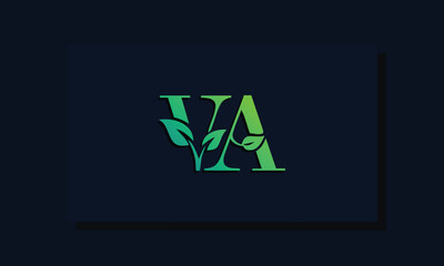 Minimal leaf style Initial VA logo