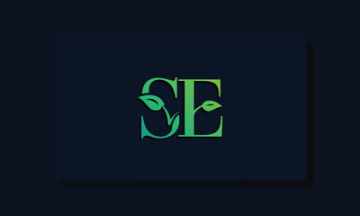 Minimal leaf style Initial SE logo