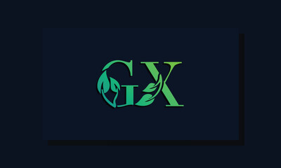 Minimal leaf style Initial GX logo.