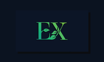 Minimal leaf style Initial EX logo.
