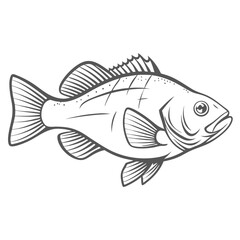 Red Snapper Line Art Illustration