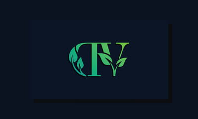 Minimal leaf style Initial DV logo