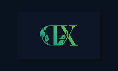 Obraz premium Minimal leaf style Initial DX logo